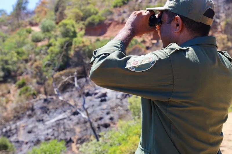 سؤال برلماني يسلط الضوء على وضعية حراس الغابات بجهة مراكش آسفي