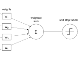 Perceptron Algorithm Explained At Alfred Willeford Blog