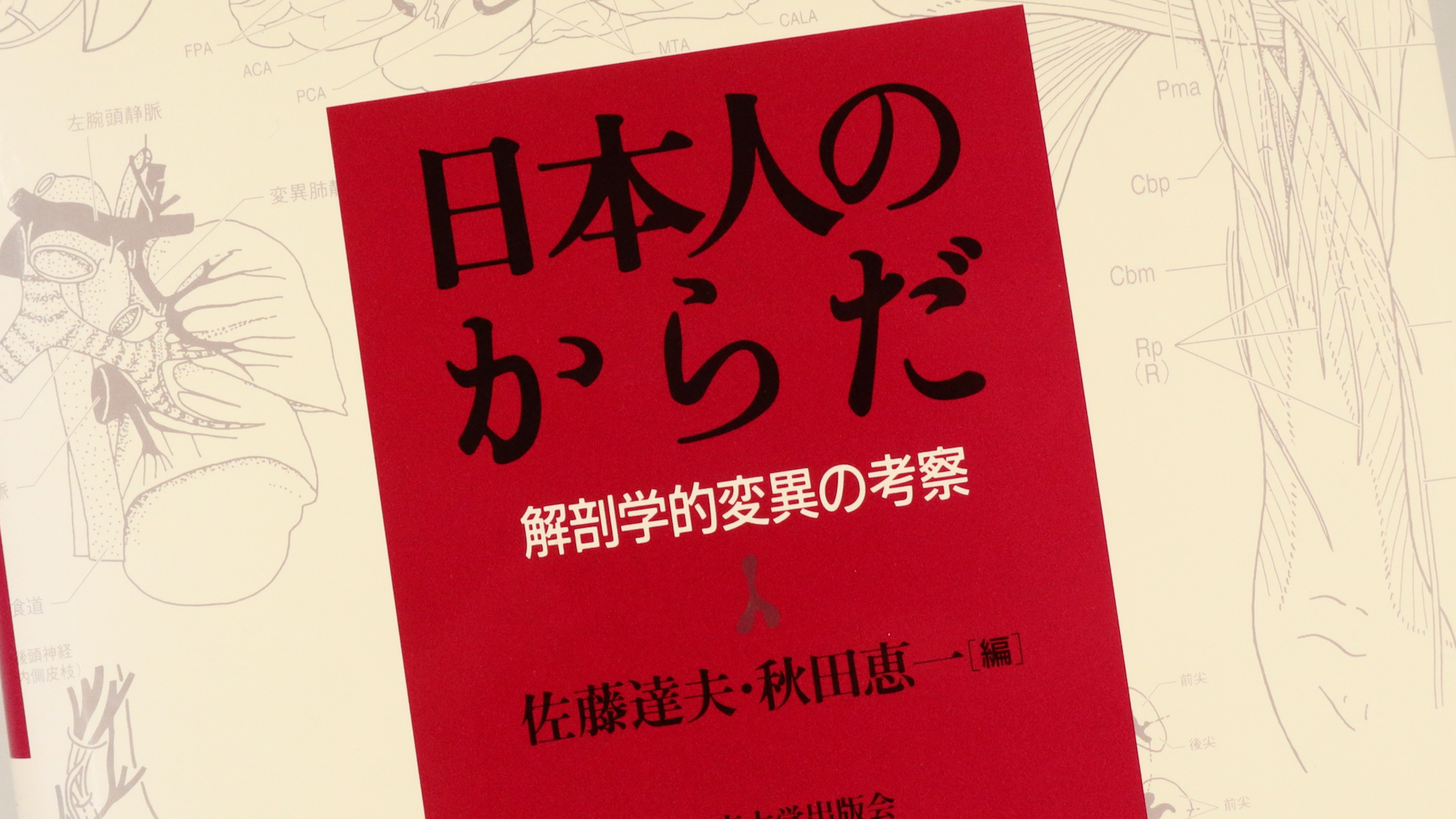 日本人のからだ 鈴木陽雄 日本人のからだ ｜朝倉書店