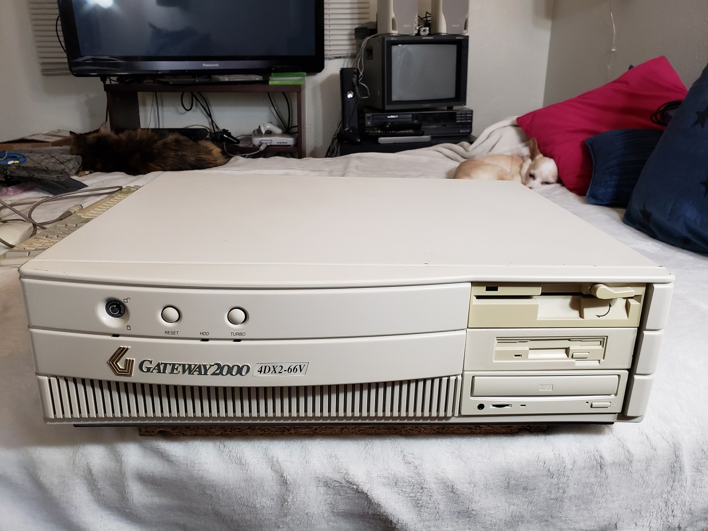 Windowsデスクトップ mumbai gwdxextra.jpg?ssl=1