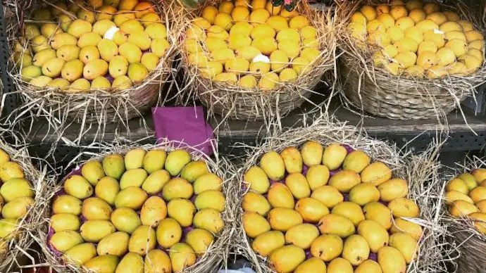 Mango_0