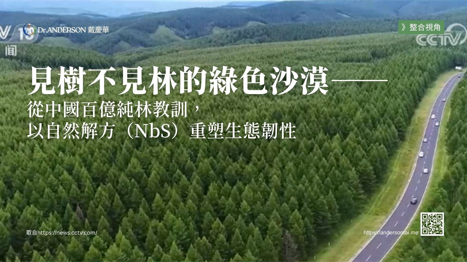 見樹不見林的綠色沙漠