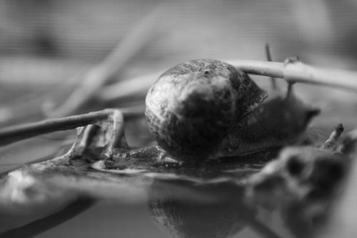 Projects . . . Again