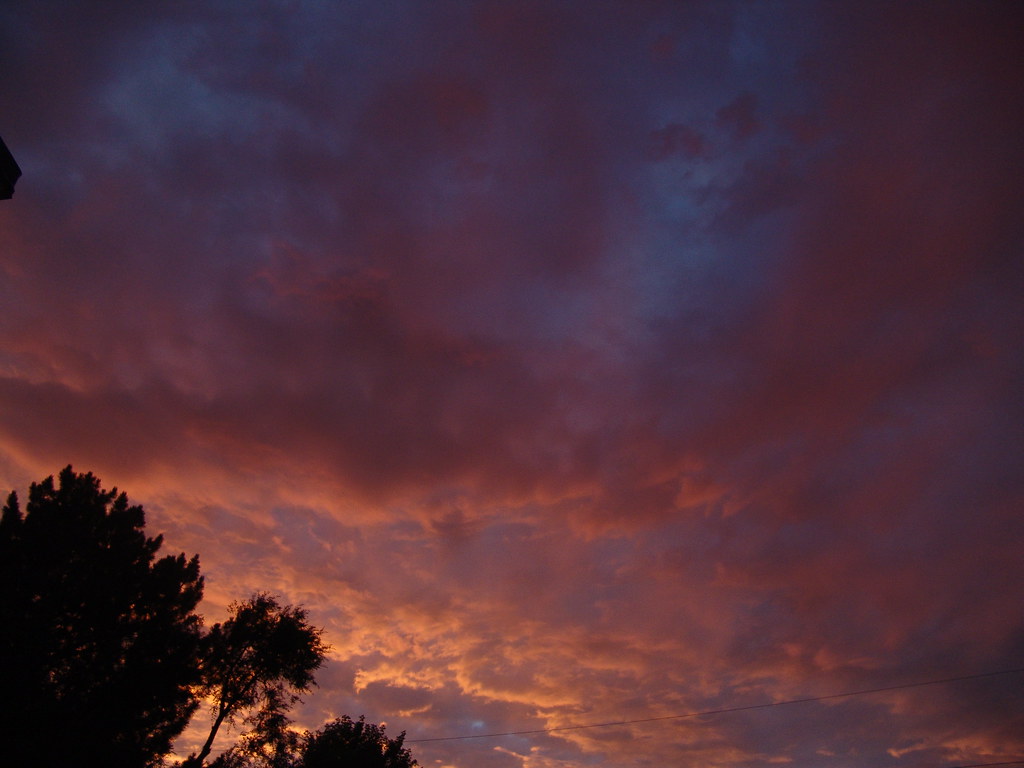 Tonight The Light Is Golden