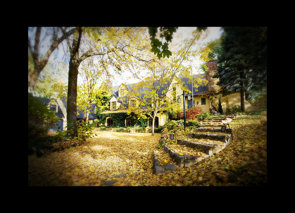 The Roof