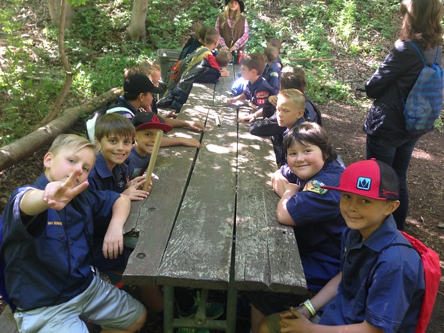 Andrea Goes to Scout Camp