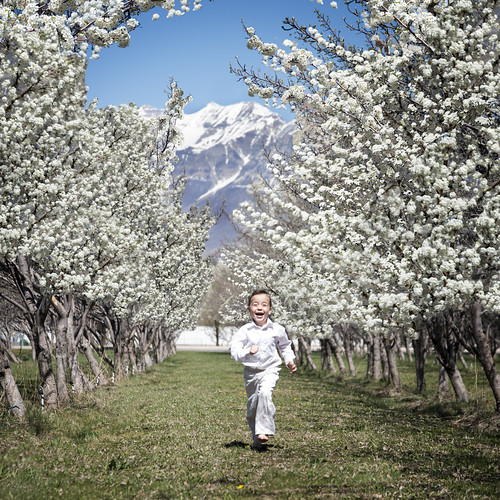 Happy Spring!