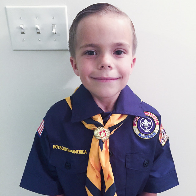 Scout