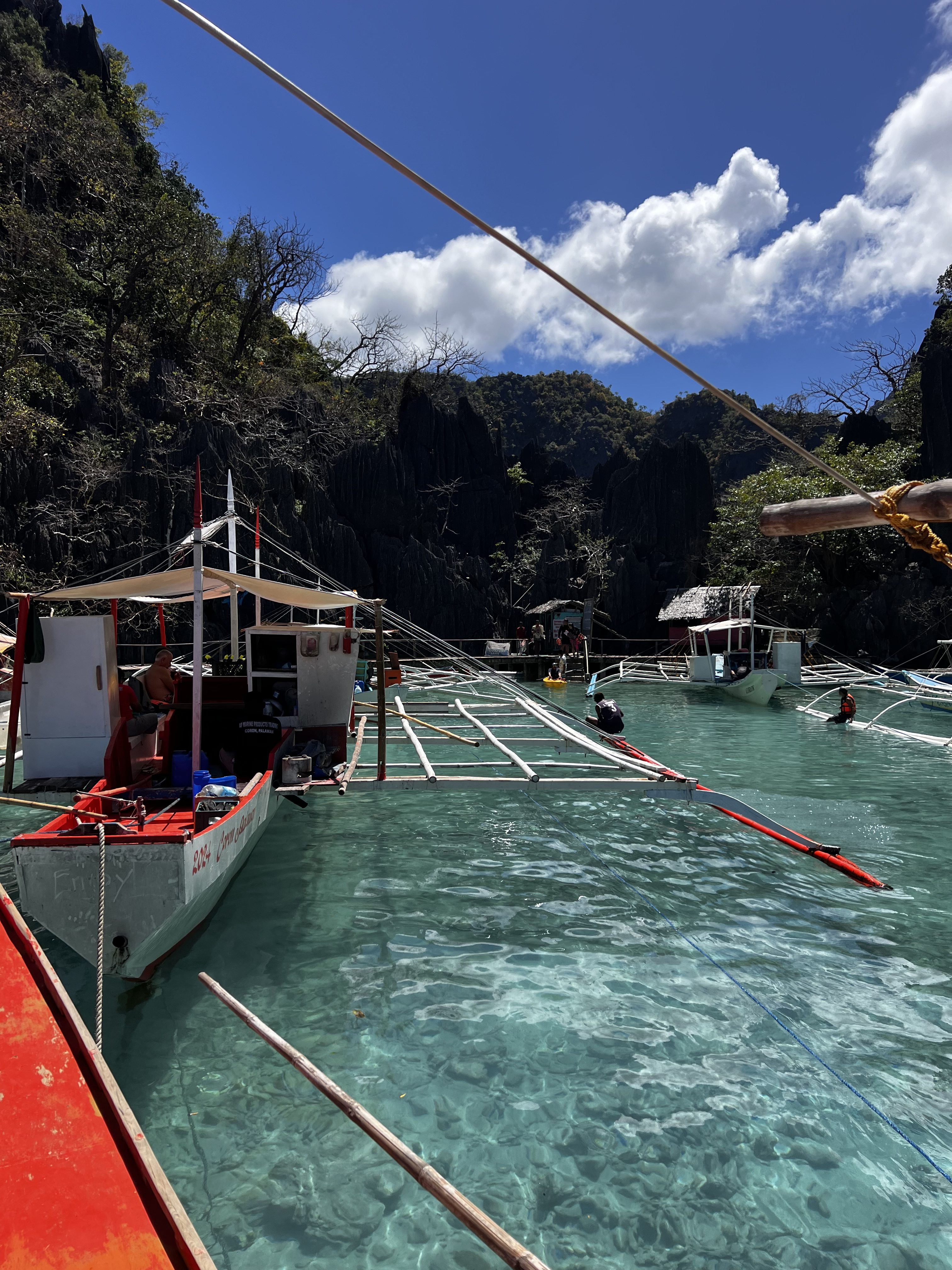 Paisaje tropical de Filipinas con vegetación y mar