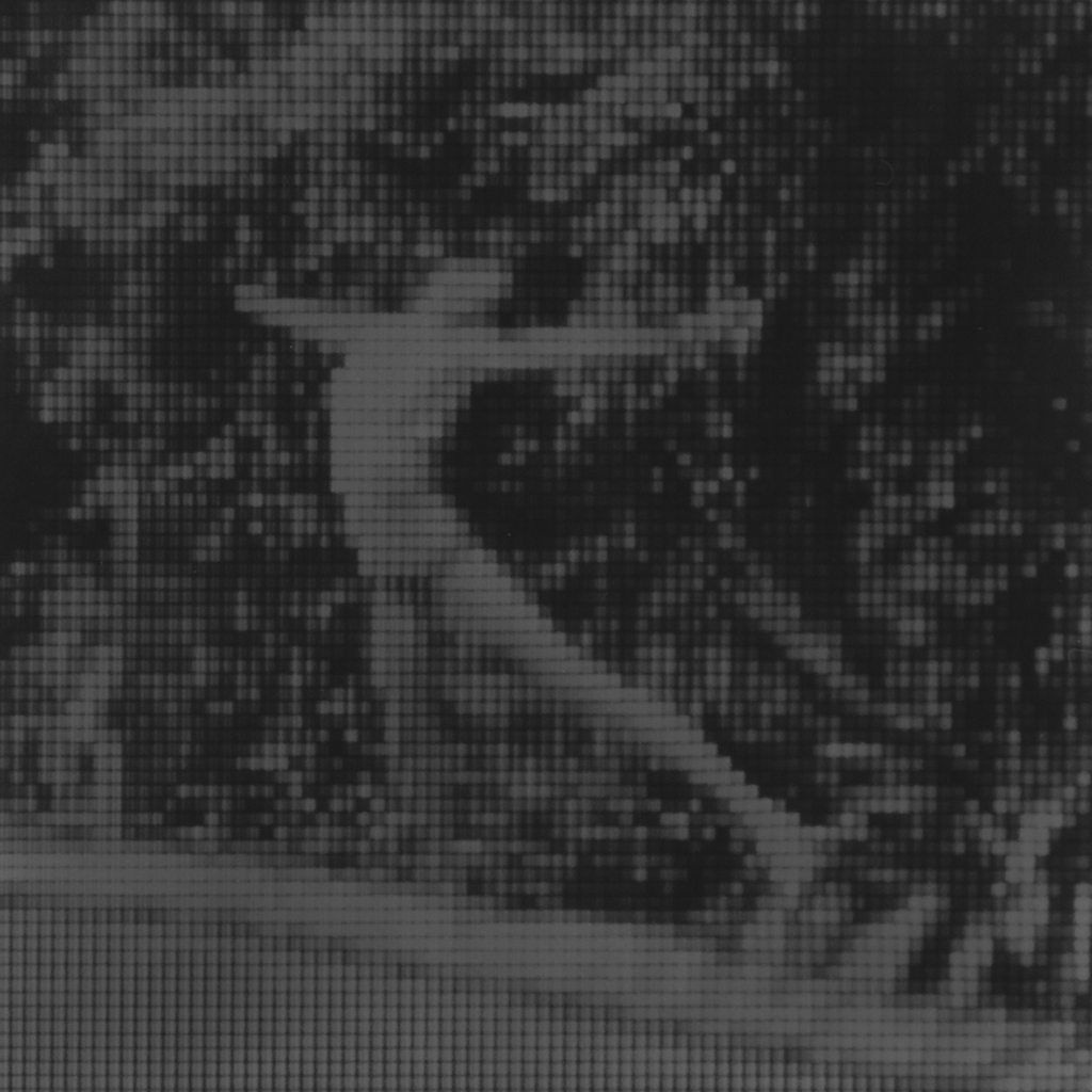 Sin título (Fran), 2015/2016 - Plata en gelatina - 25 x 25 cm