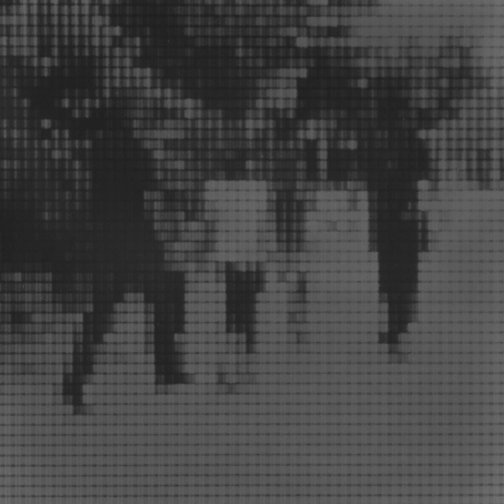 Sin título (H, F, P, L), 2015/2016 - Plata en gelatina - 25 x 25 cm