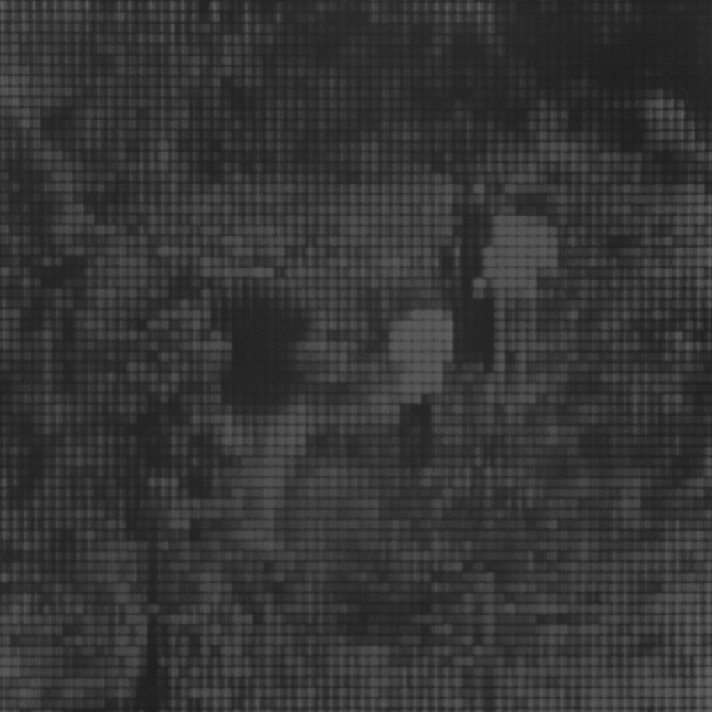 Sin título (Caminata con niños), 2015/2016 - Plata en gelatina - 25 x 25 cm