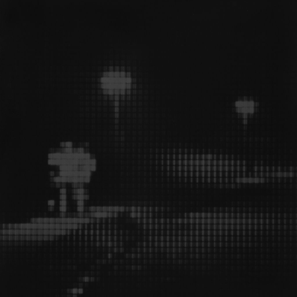 Sin título (La madrina), 2015/2016 - Plata en gelatina - 25 x 25 cm