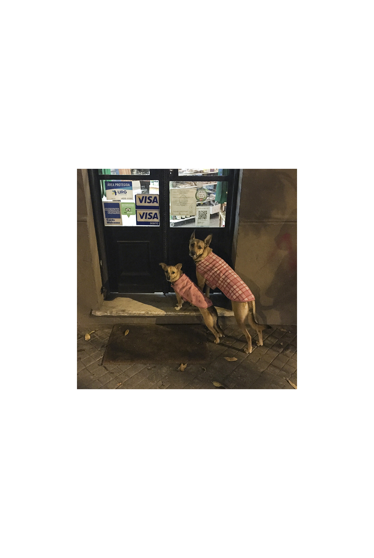 La doble vida II (VI), 2017- Fotografía color -15 x 10 cm