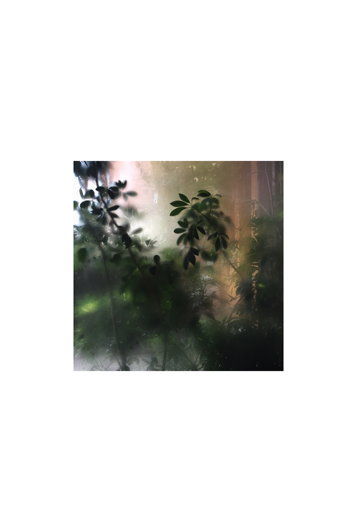 La doble vida II (VIII), 2017- Fotografía color -15 x 10 cm