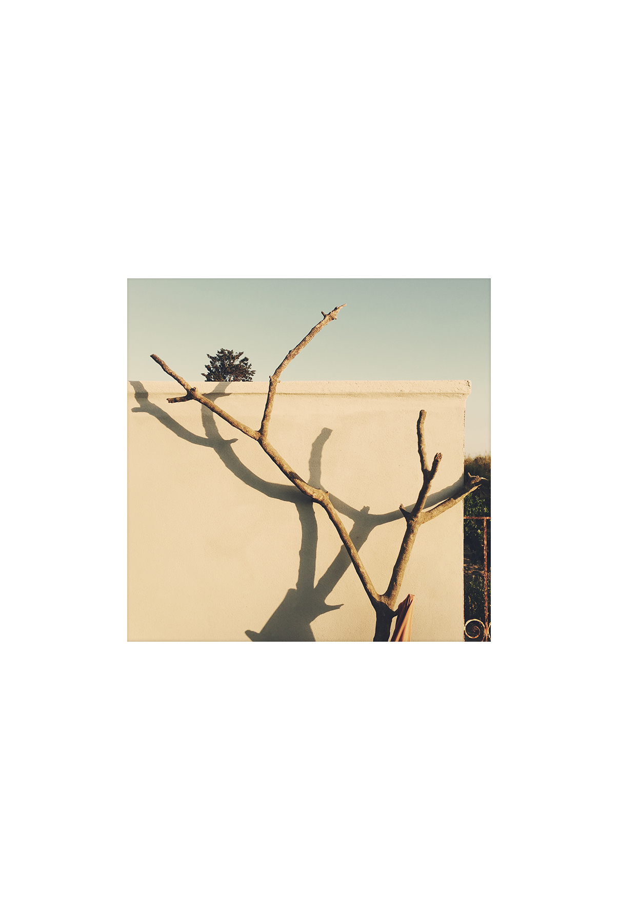 La doble vida IV (IV), 2017- Fotografía color -15 x 10 cm