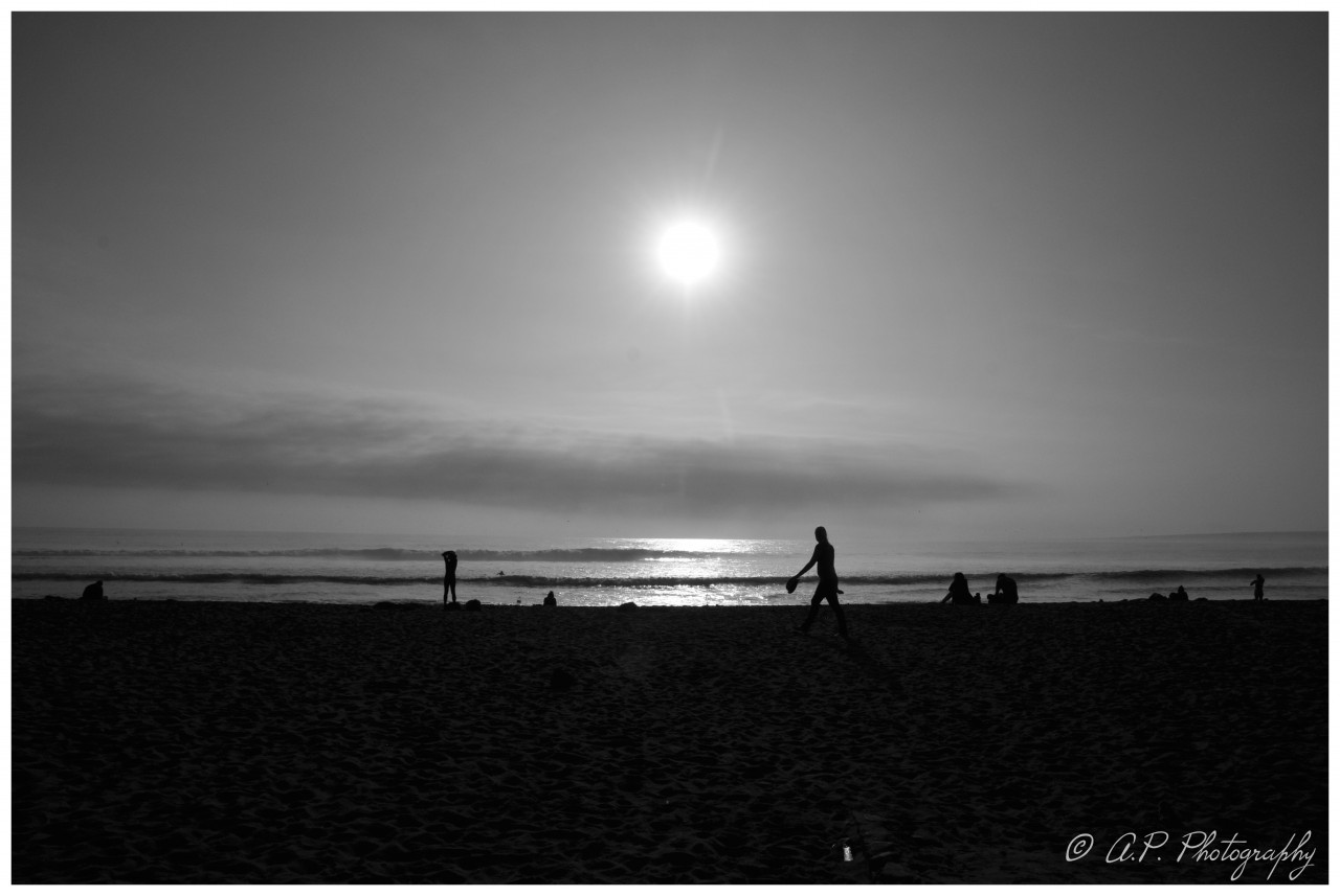 cropped-dsc_5840-2.jpg