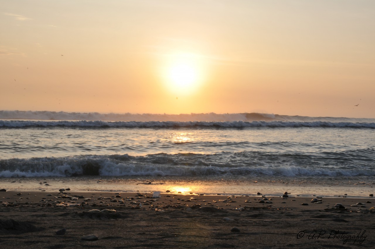 cropped-dsc_5891.jpg