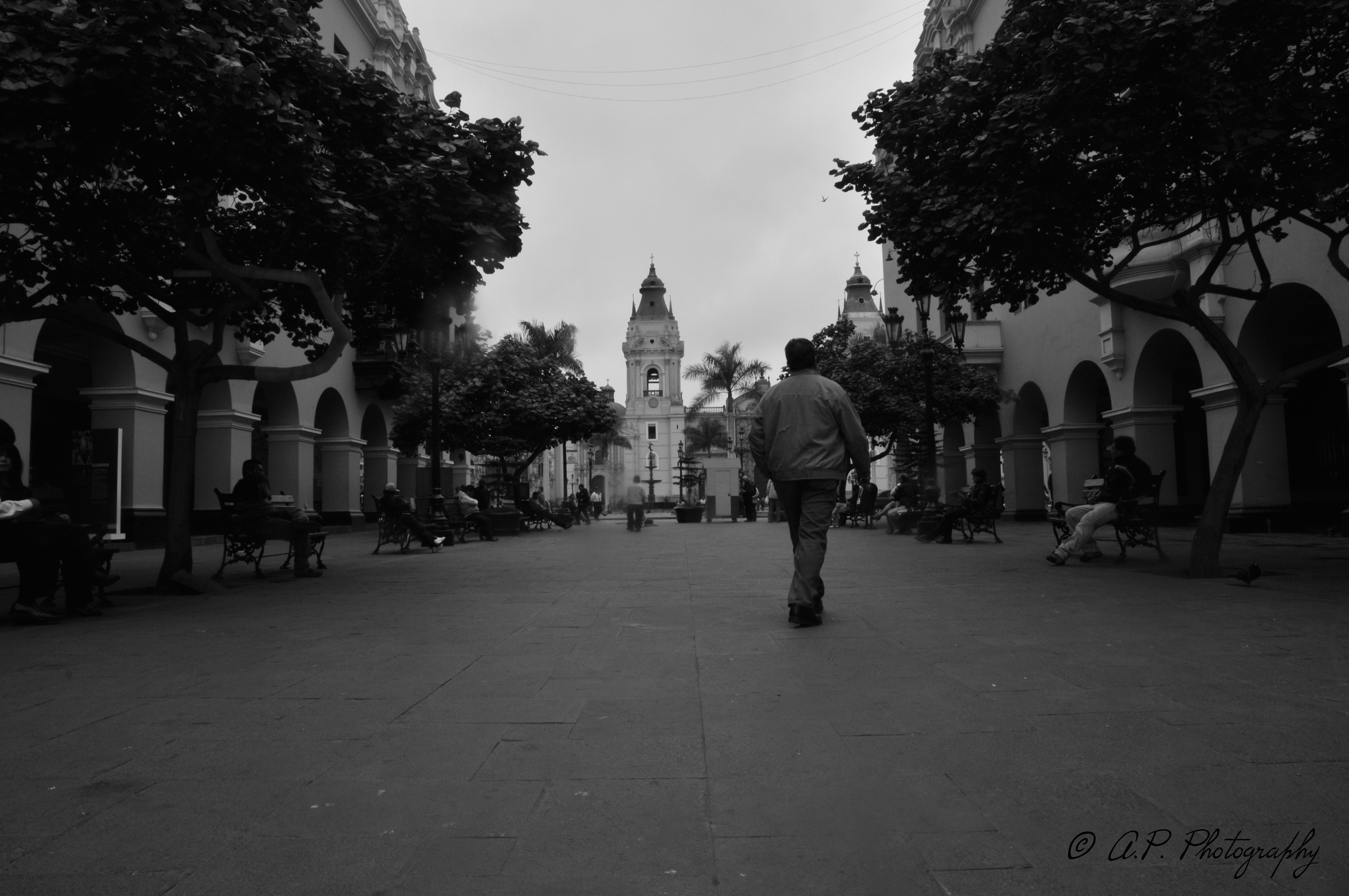 DSC_5340