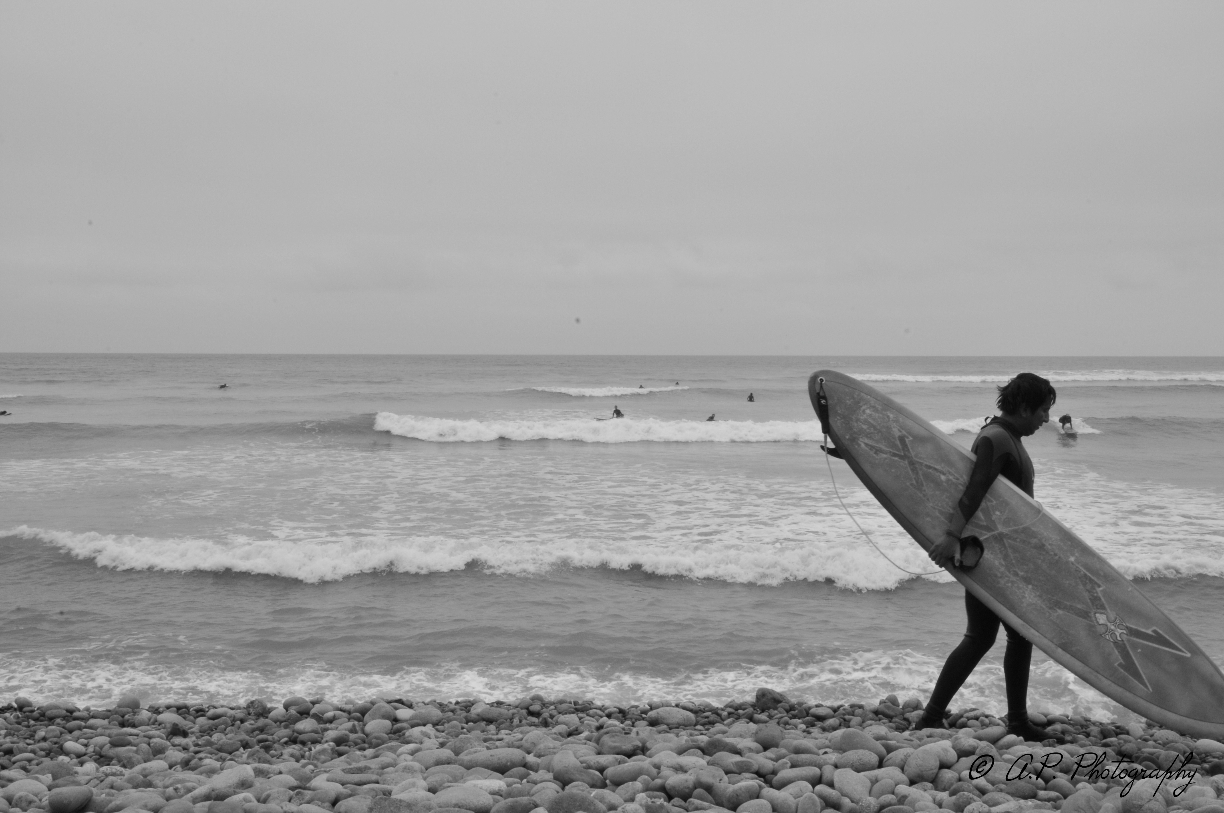 DSC_5488