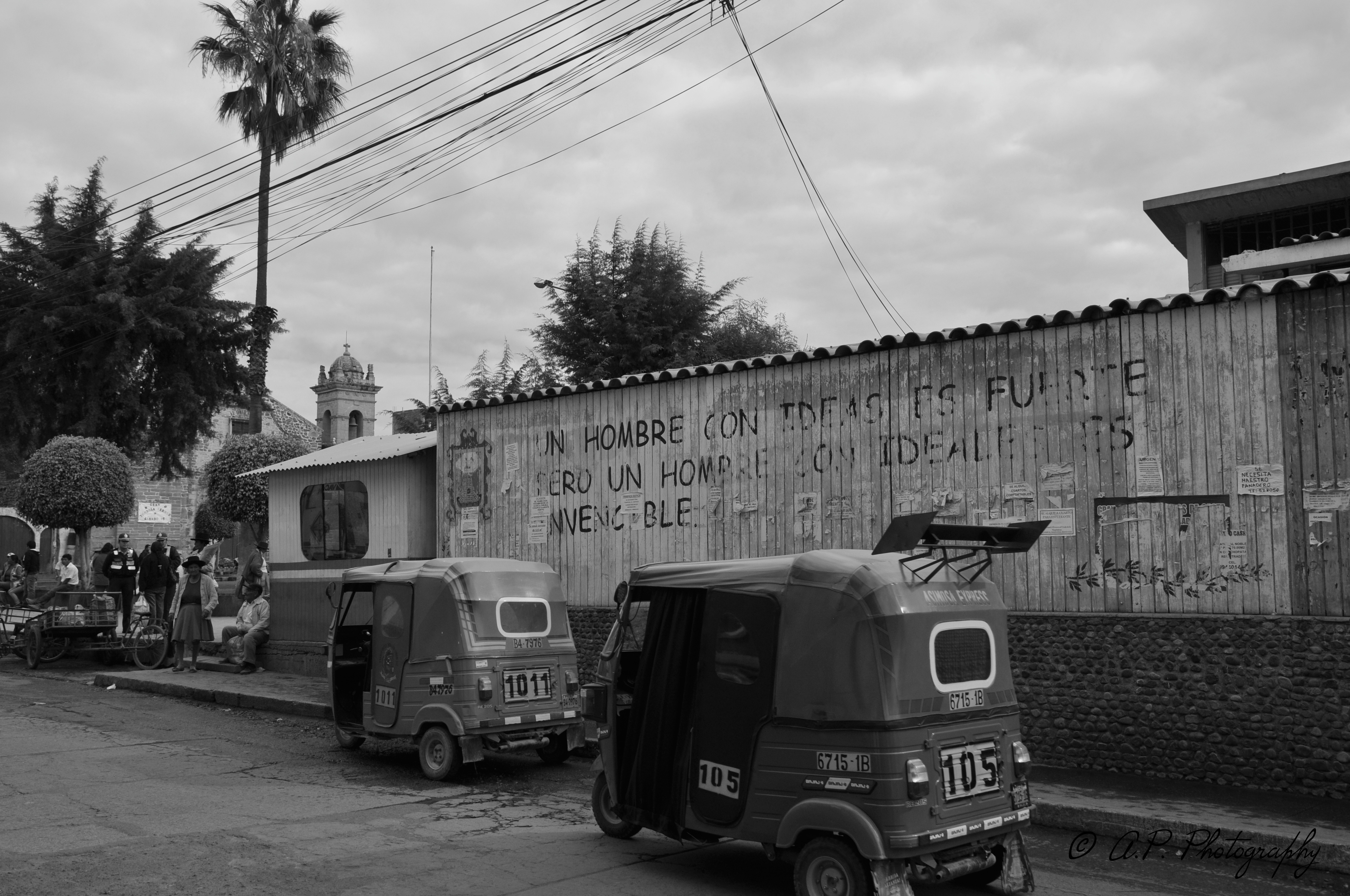 DSC_6564