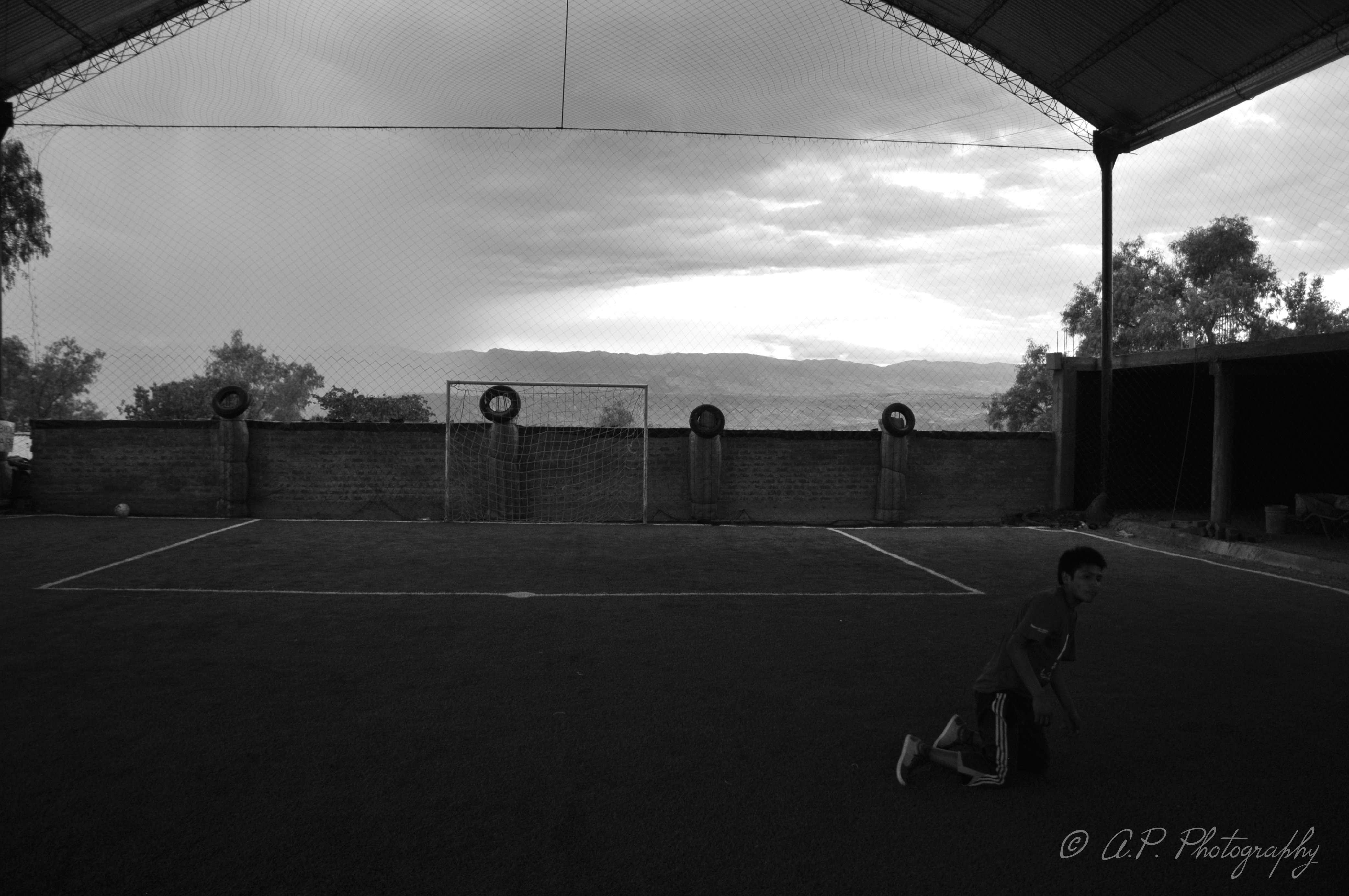 DSC_6715 (1)