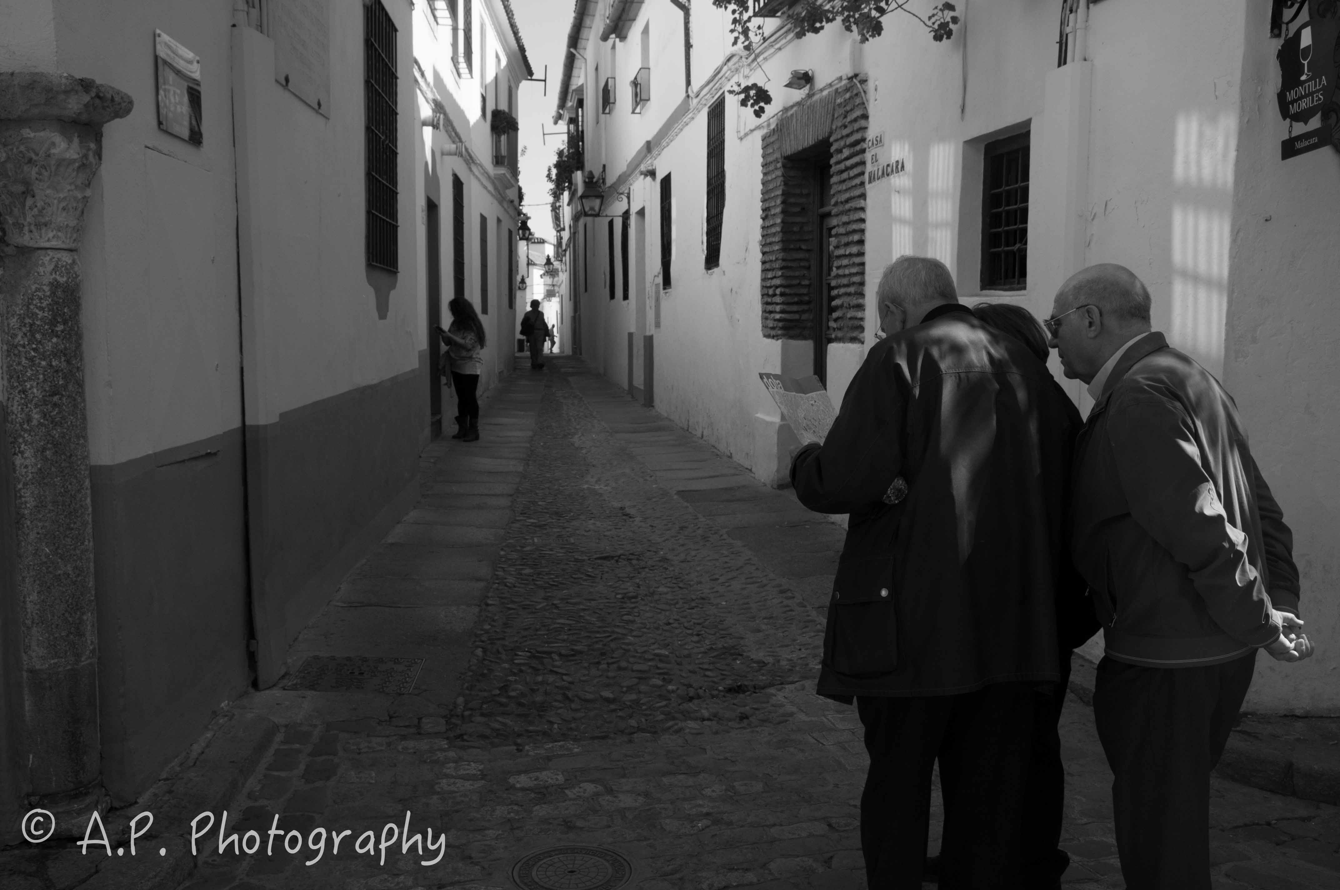 DSC_0108-9