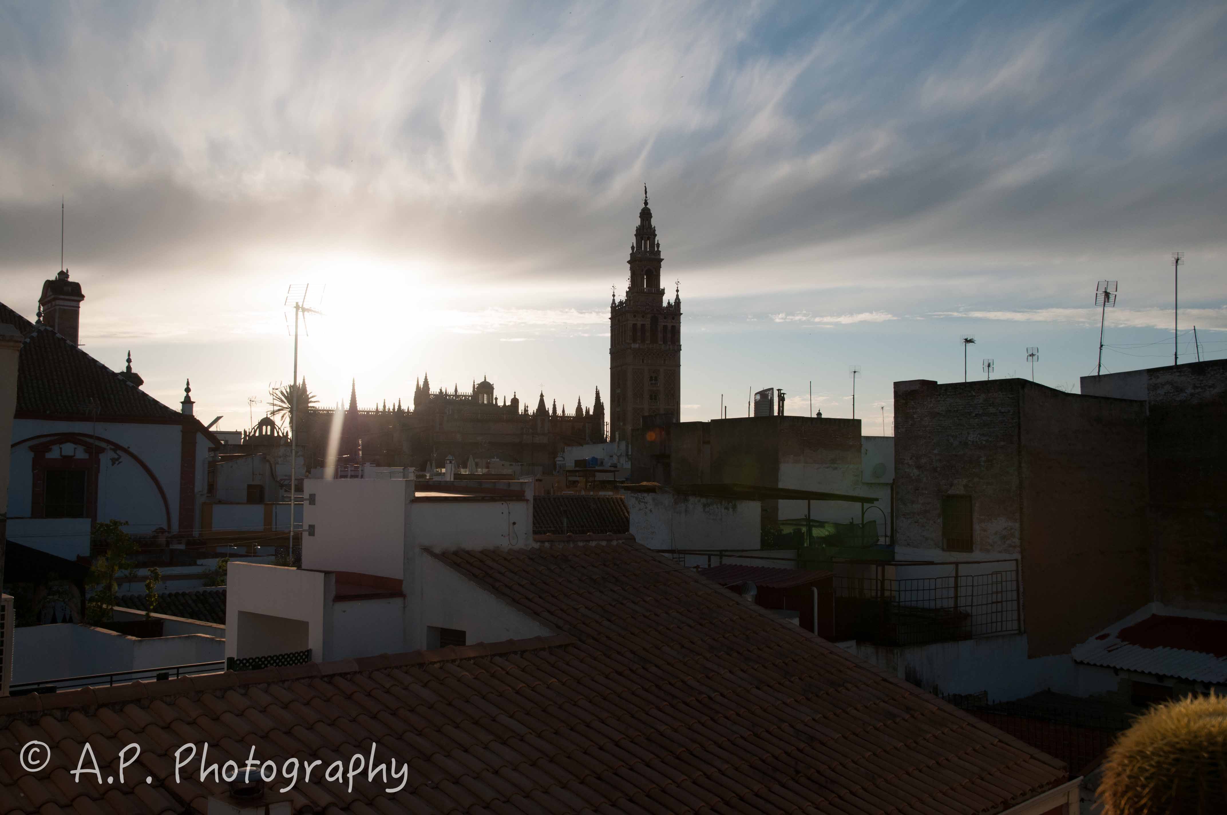 DSC_0495-4