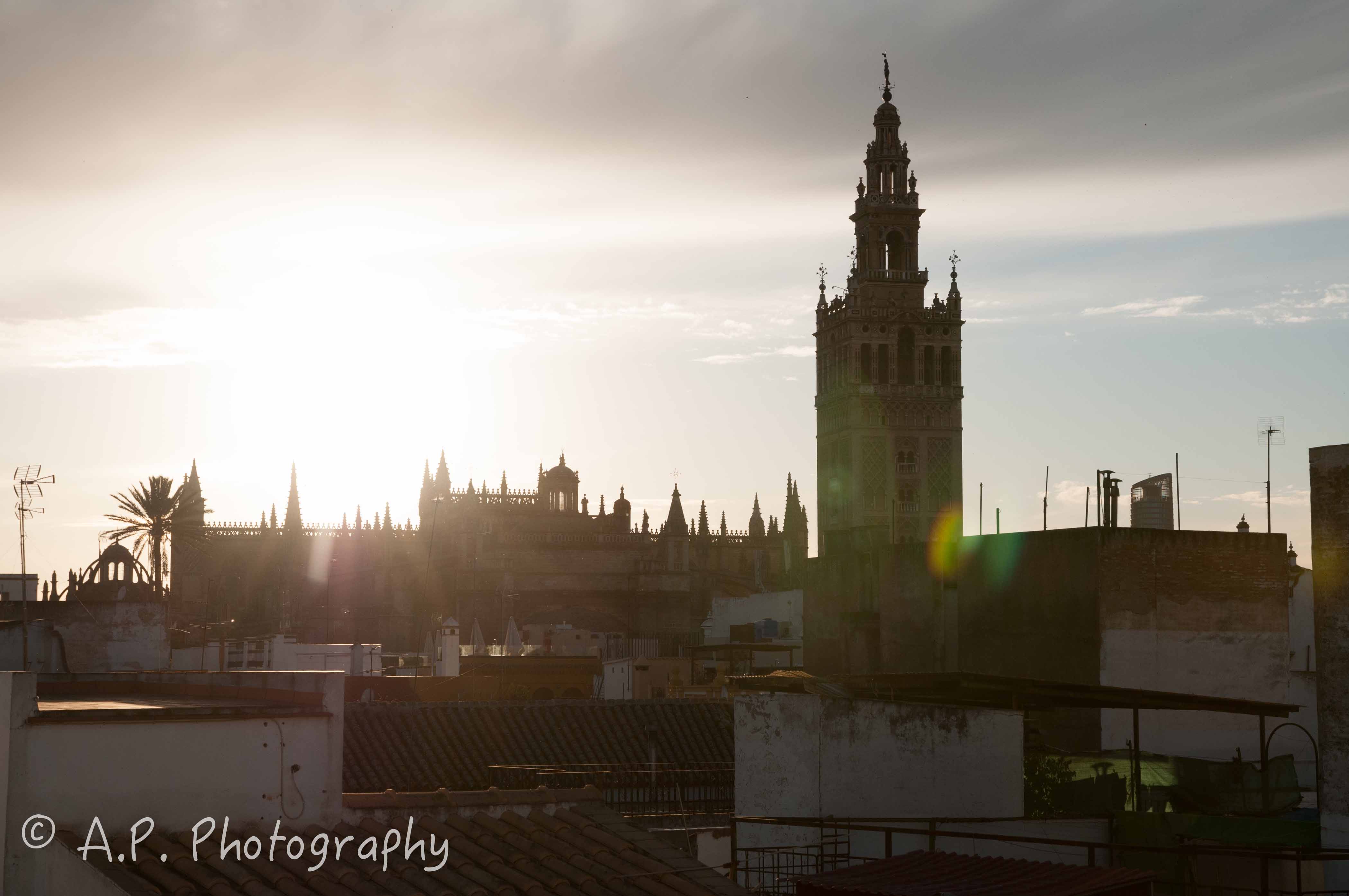 DSC_0503-5
