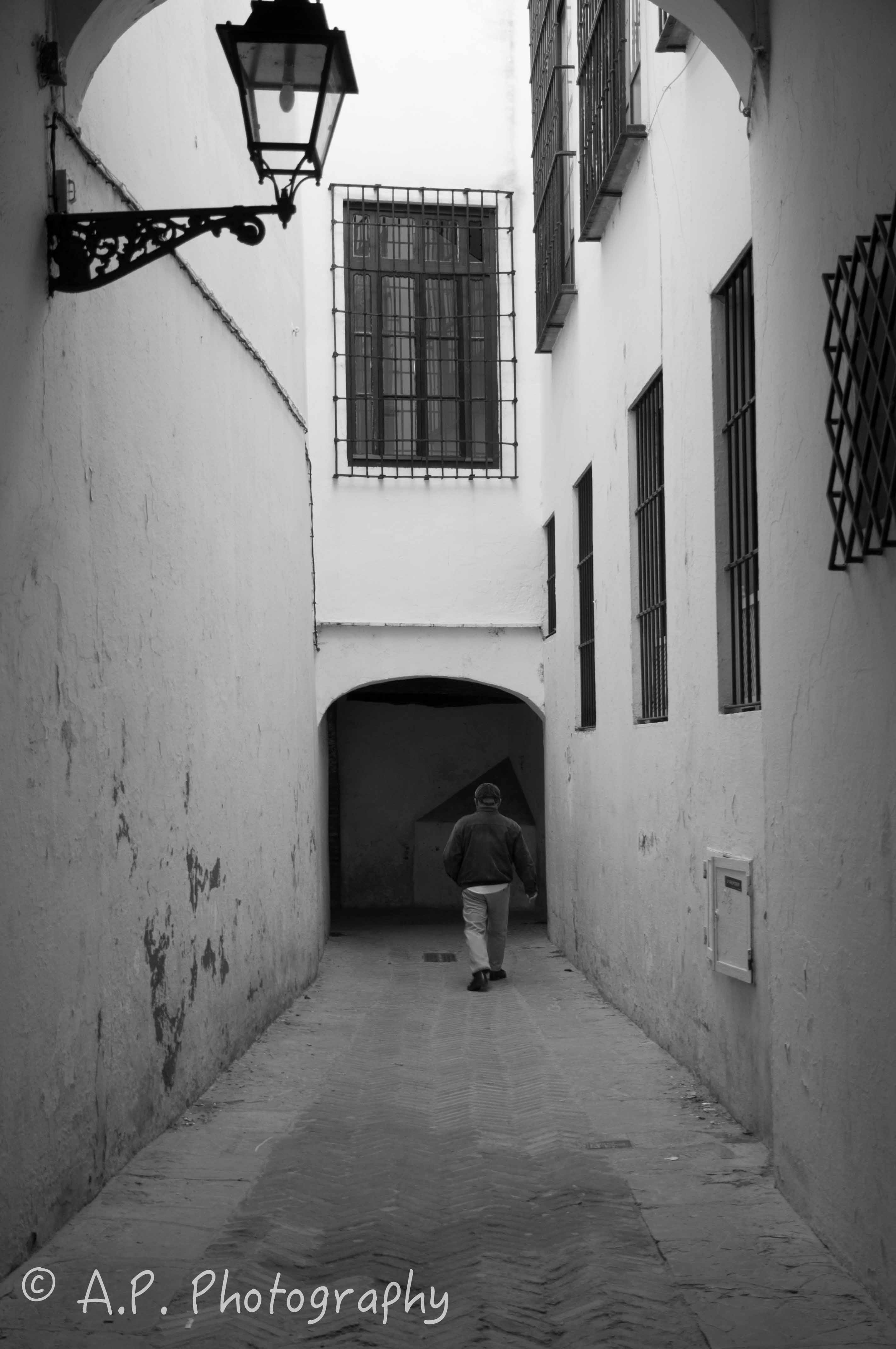 DSC_0529-10