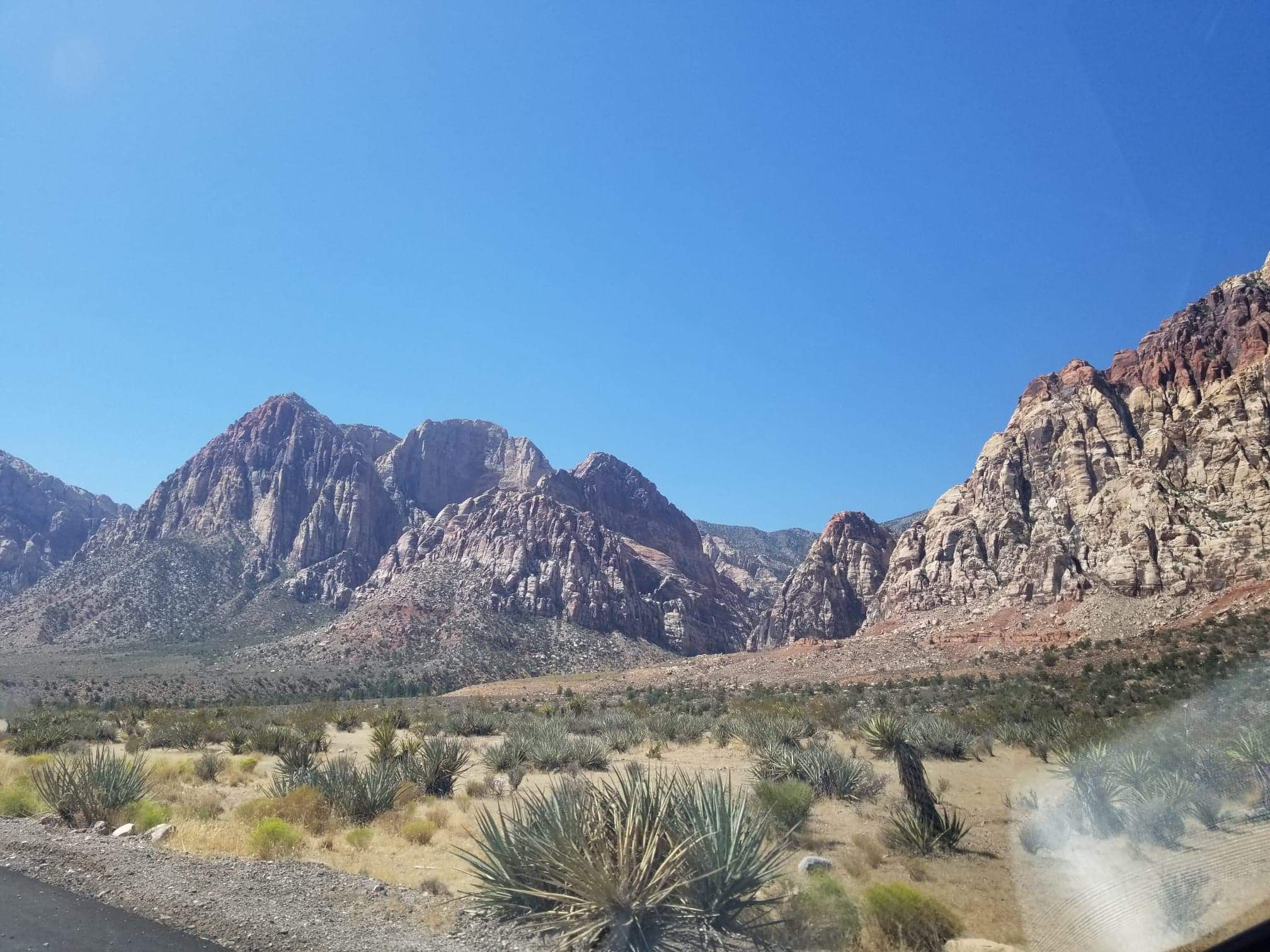 received_1538990666201736