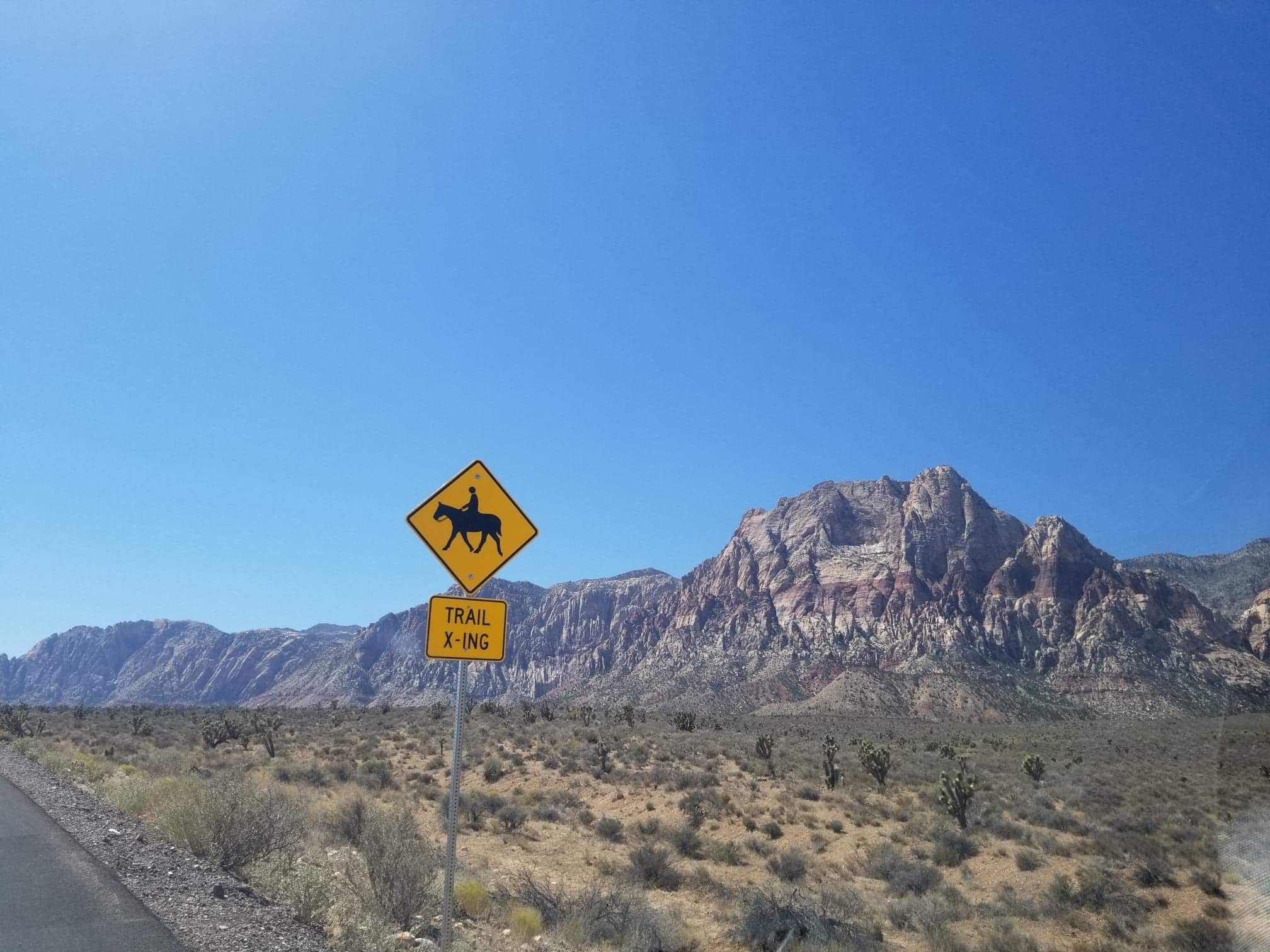 received_1883600681733246