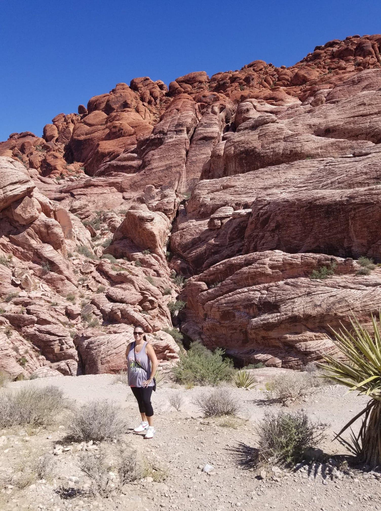 received_1917278215019690