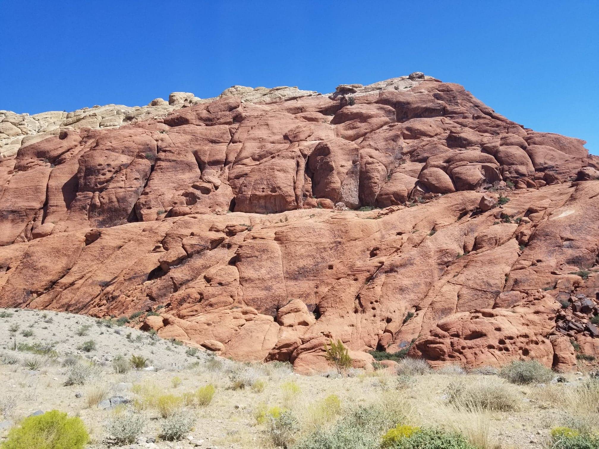 received_620142171714794