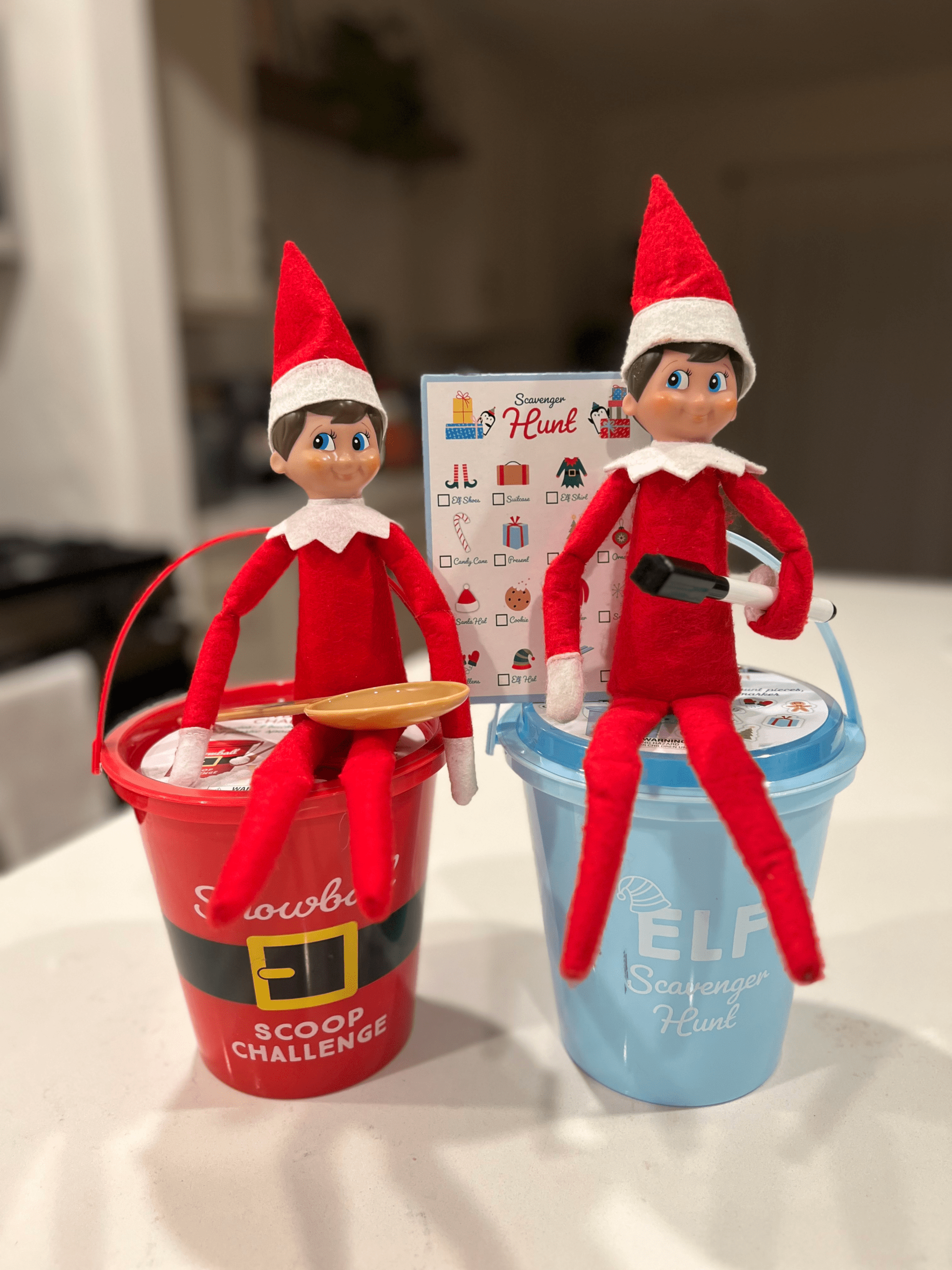Elf on the Shelf: 24 Fun & Easy Ideas for the Whole Month