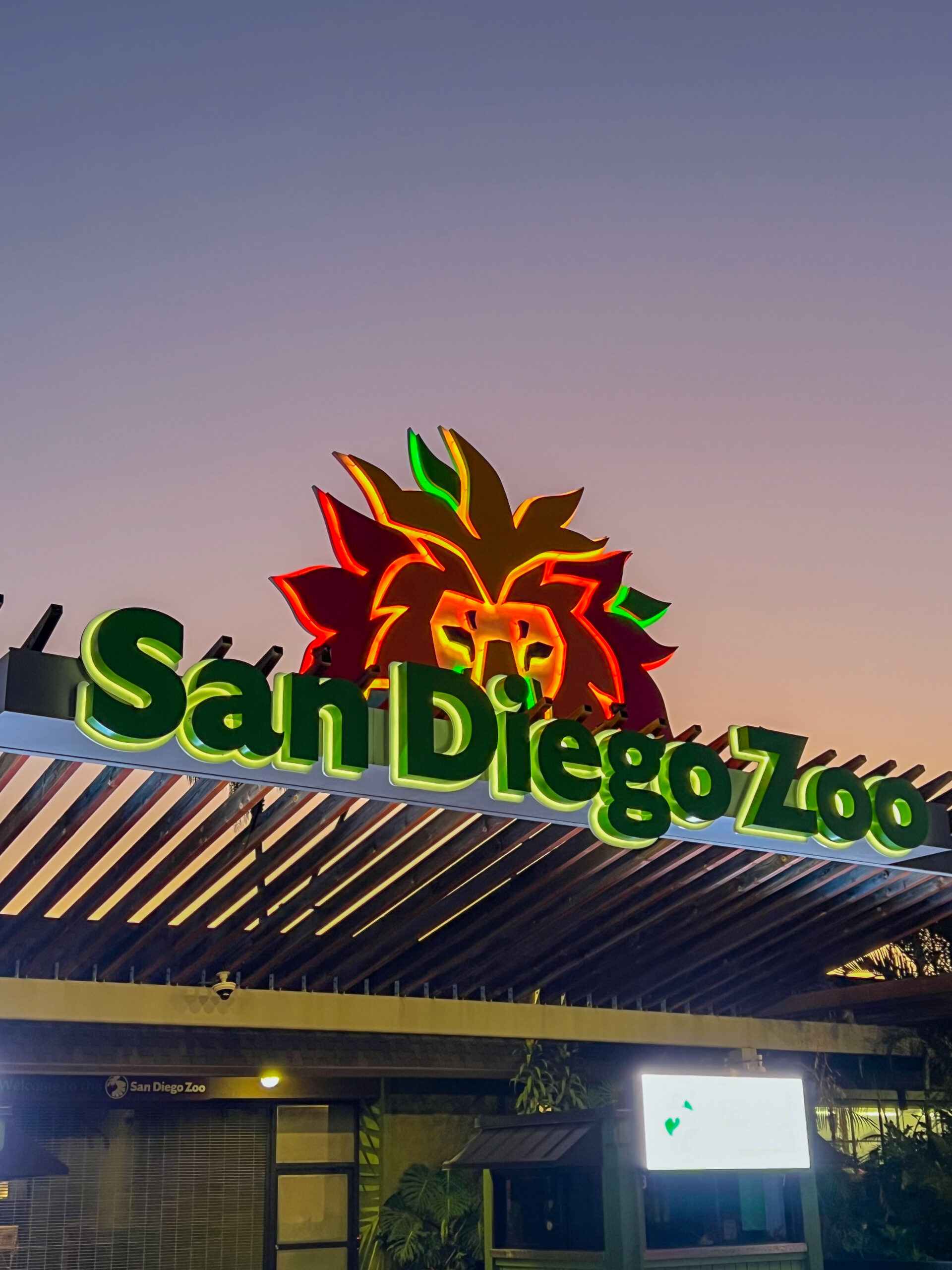 Nighttime at the San Diego Zoo: Animal Encounters, Live Music & Summer Fun