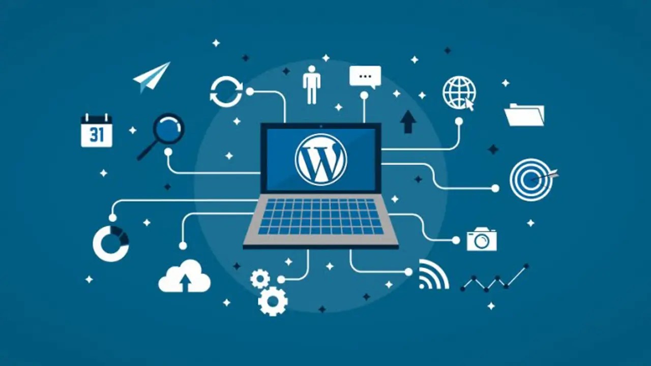 WordPress plugin ecosystem diagram