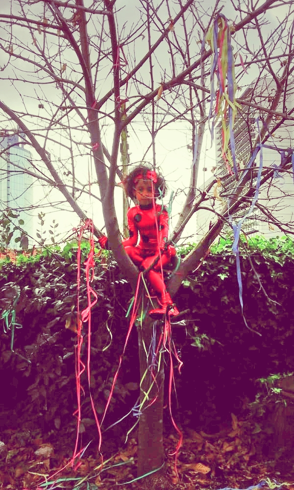 AnaméBug tida e achada é empoleirada