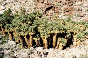 Andrei Guevorkian - Best Colorful Pictures in High Resolution