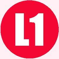 виза L1