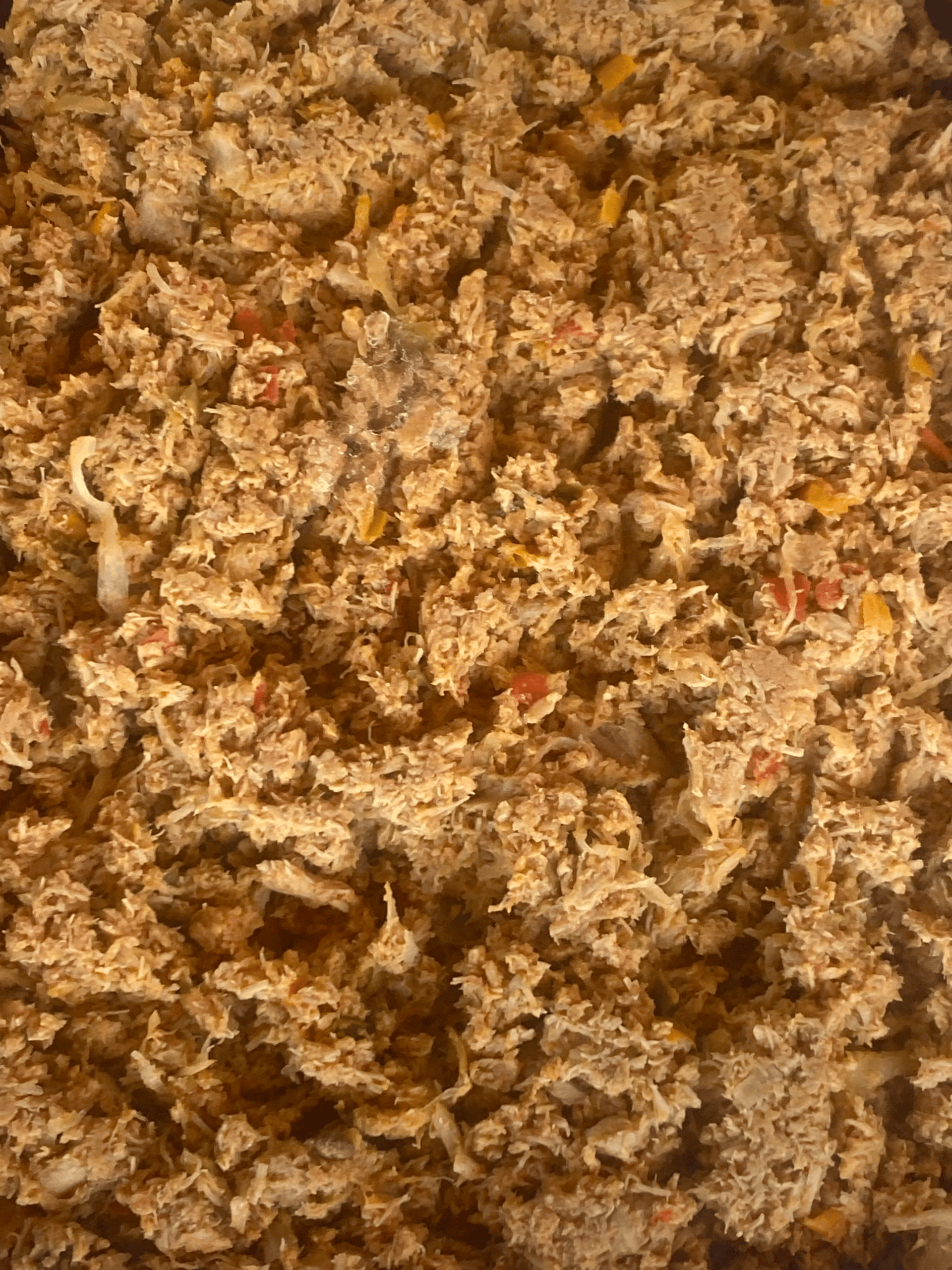 Chicken: A perfectly fried, crescent-shaped Haitian pate kode with a flaky crust, filled with juicy, shredded chicken seasoned with traditional Caribbean spices.