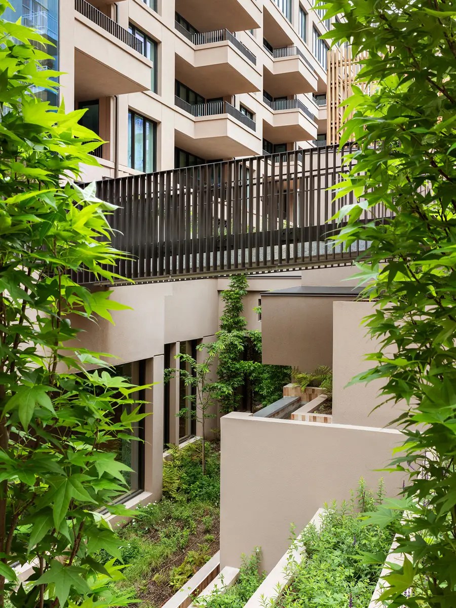 Sculptural terraced courtyard with cantilevered concrete volumes seen through Japanese maple branches