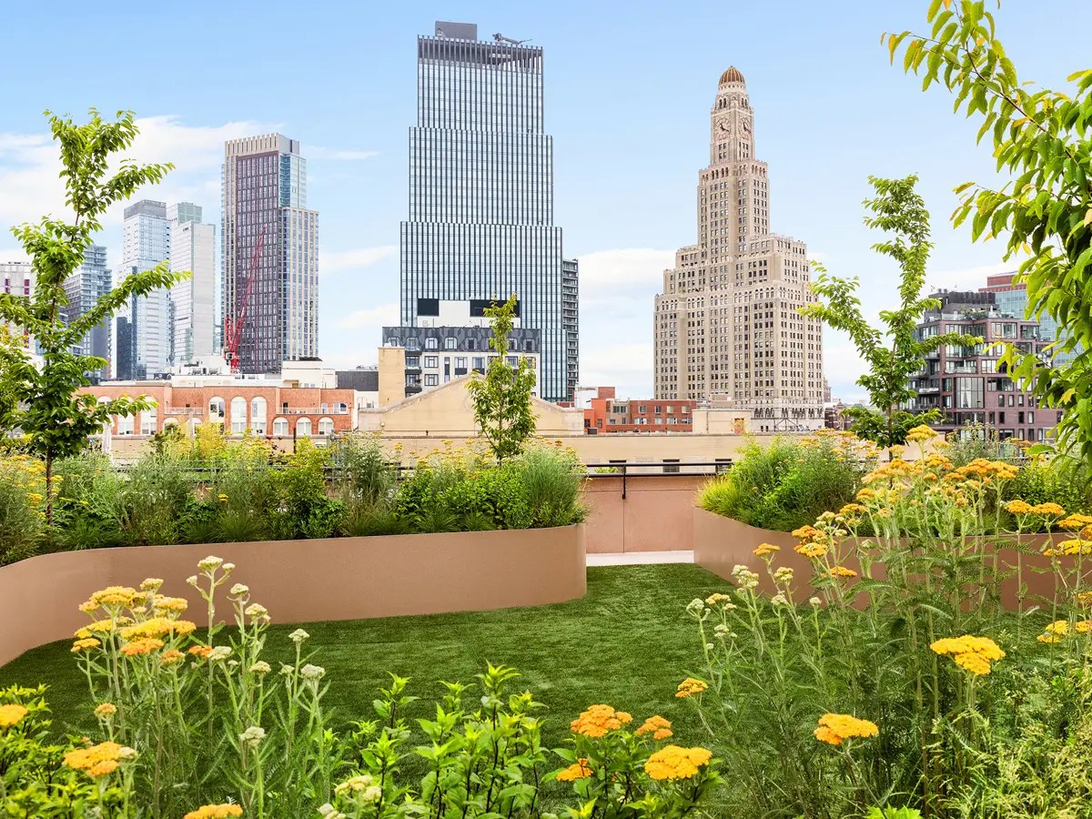 Rooftop garden with wildflowers and turf lawn framed by a historic clock tower and glass high-rises on the skyline