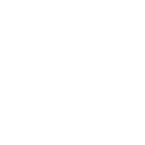 Simon Youth Foundation logo