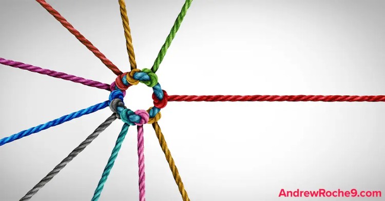• Andrew Roche How Does Google Work-Links