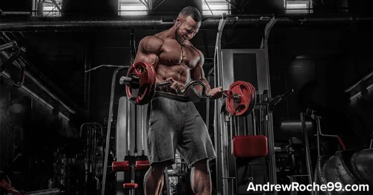 BacklinkProfile_BuildBacklinkProfile • Andrew Roche Backlink Profile Build Backlink Profile