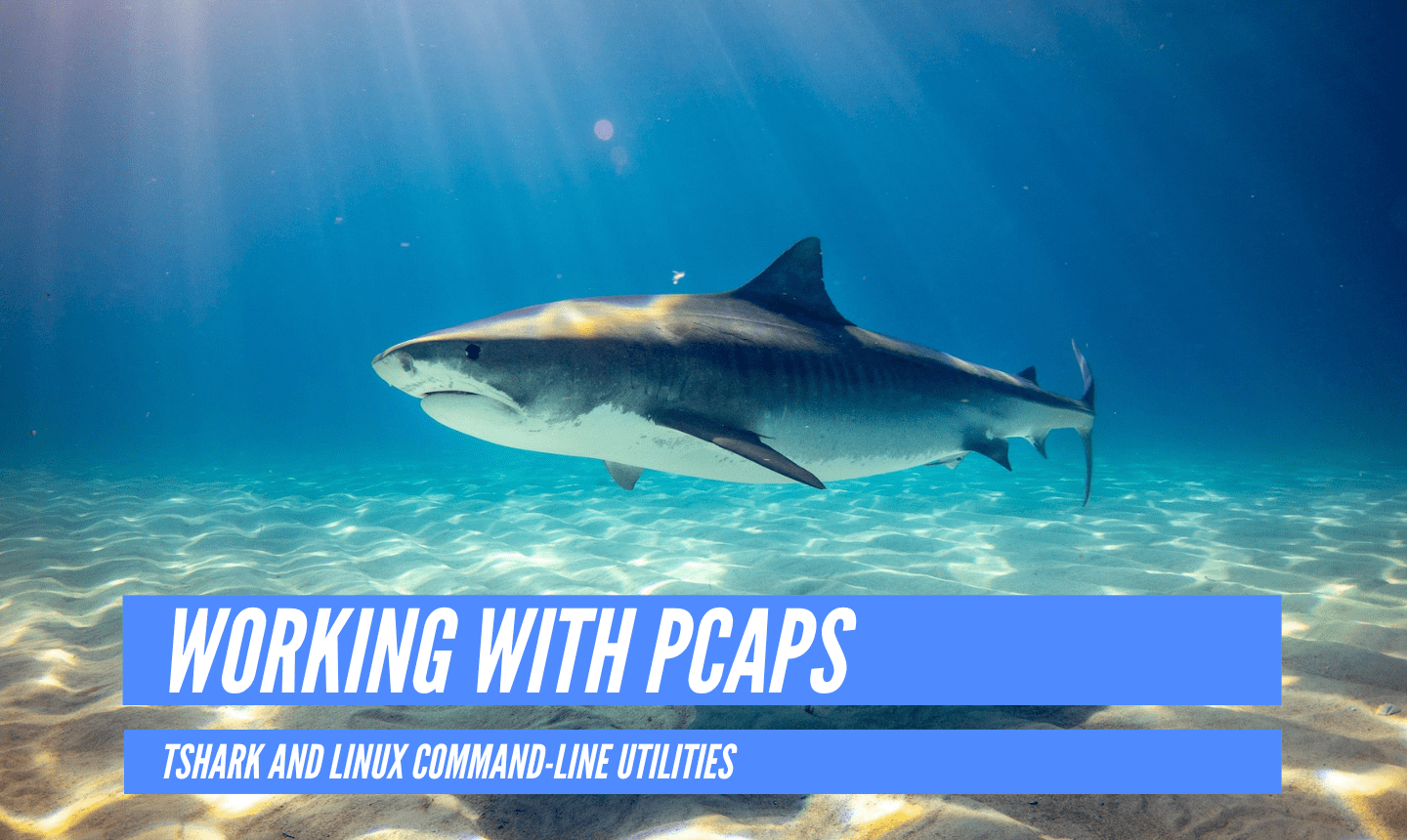 Working with PCAPs