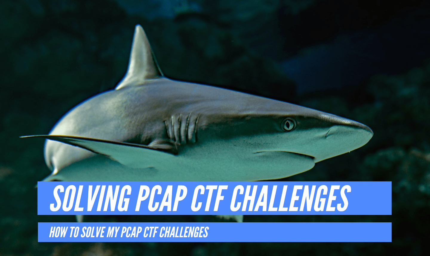 How to solve my PCAP CTF challenges
