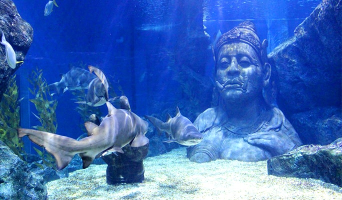 Sea Life Bangkok