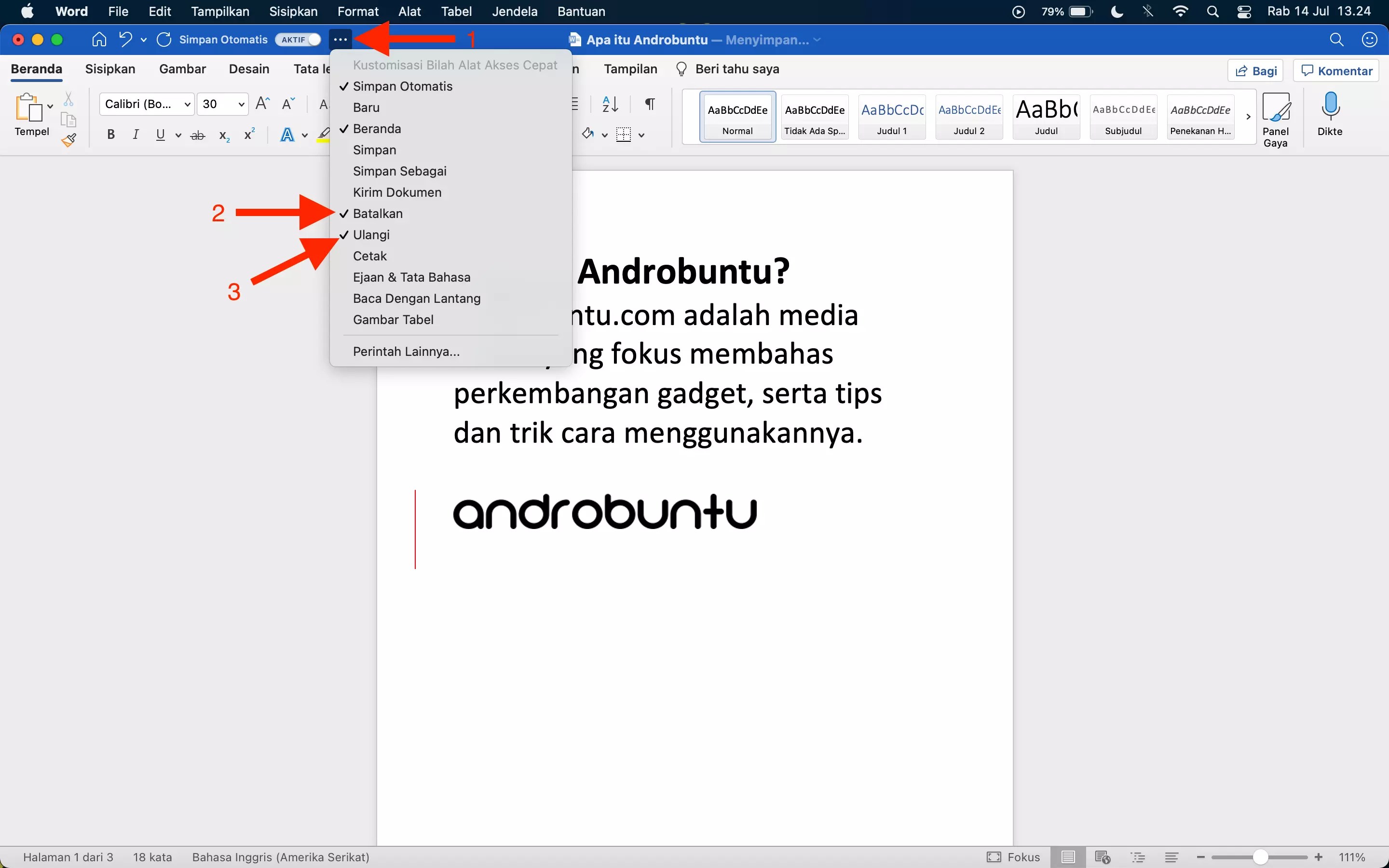 Cara Undo dan Redo di Microsoft Word - Androbuntu